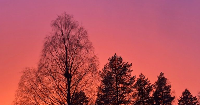 Fire in the sky