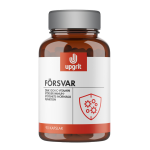 Upgrit Försvar 90 kap