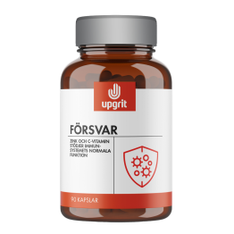 Upgrit Försvar 90 kap